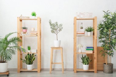 Kitaplı raflar ve ışık duvarı yakınında bitkiler.