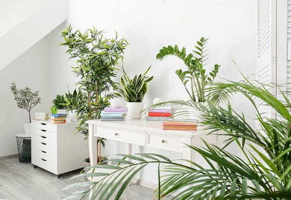 Books Table Houseplants Interior Light Room — Stock Photo, Image