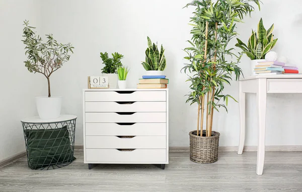 Ladekast Met Boeken Kamerplanten Buurt Van Lichtmuur Kamer — Stockfoto