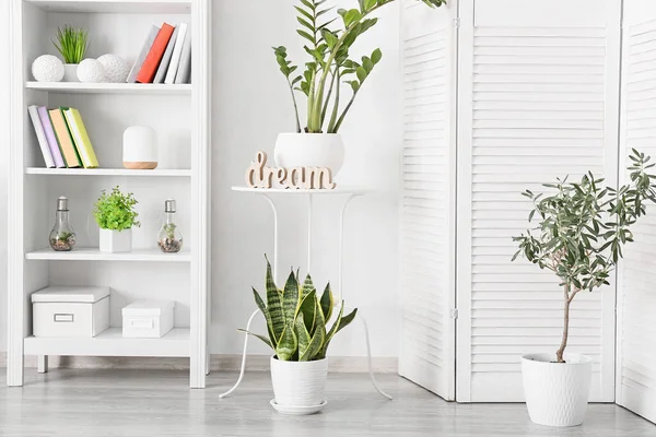 Étagère Avec Livres Plantes Intérieur Intérieur Pièce Lumineuse — Photo