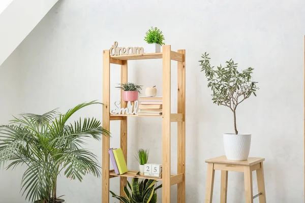 Unité Étagère Avec Livres Plantes Intérieur Près Mur Léger — Photo