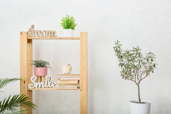 Unité Étagère Avec Livres Plantes Intérieur Près Mur Léger — Photo