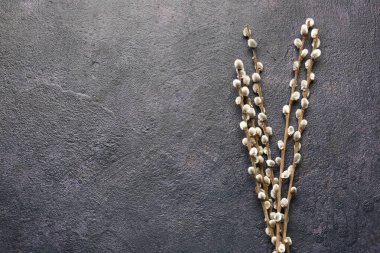 Koyu arkaplanda söğüt dalları