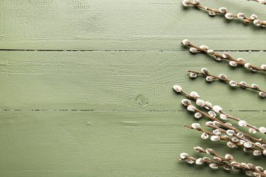 Renkli ahşap arka planda söğüt dalları