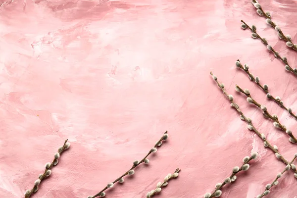 Renk Arkaplanındaki Söğüt Dalları — Stok fotoğraf