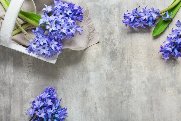 Basket Beautiful Hyacinth Flowers Light Background — Stock Photo, Image