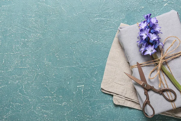 Kompozice Krásnou Hyacinth Květiny Nůžky Barevném Pozadí — Stock fotografie