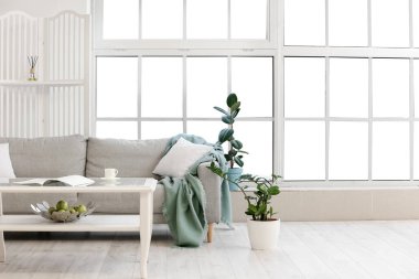 Ev bitkileriyle rahat bir kanepe ve odanın penceresinin yanında katlanan bir ekran.