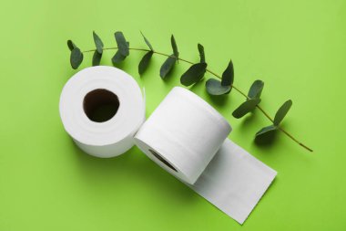Rolls of toilet paper and eucalyptus branch on color background
