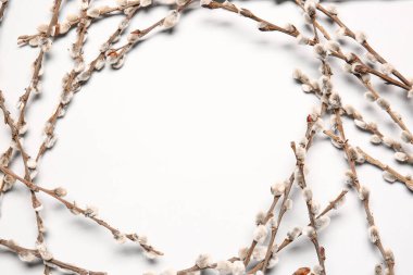 Işık arkaplanındaki söğüt dallarından yapılmış çerçeve