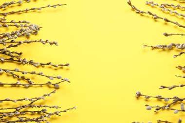 Renk arkaplanındaki söğüt dalları