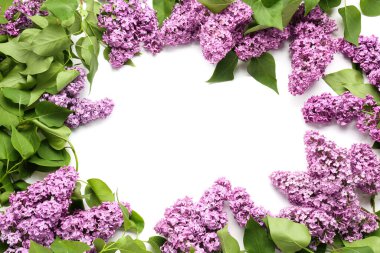 Beyaz arkaplanda güzel leylak çiçeklerinden yapılmış çerçeve
