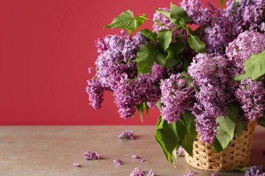 Renkli arkaplanda güzel leylak çiçekleri olan vazo