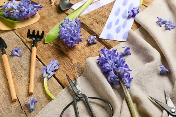 Composition Beautiful Hyacinth Flowers Gardening Tools Wooden Background — Stockfoto