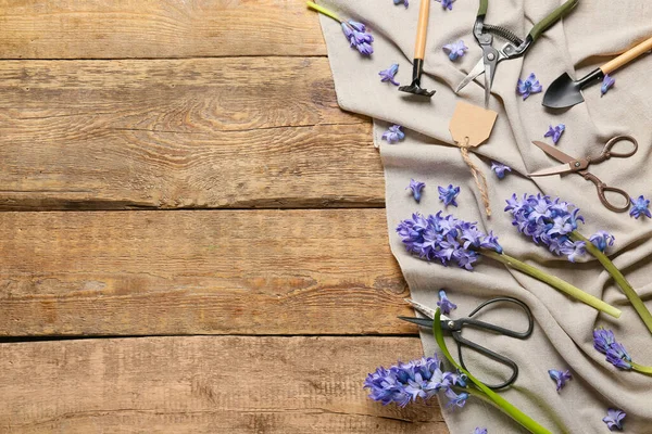 Composition Beautiful Hyacinth Flowers Gardening Tools Wooden Background — Fotografia de Stock