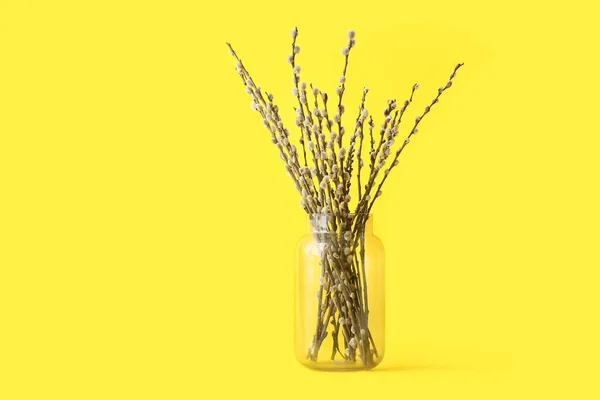 Vase Willow Branches Color Background — Stock Photo, Image