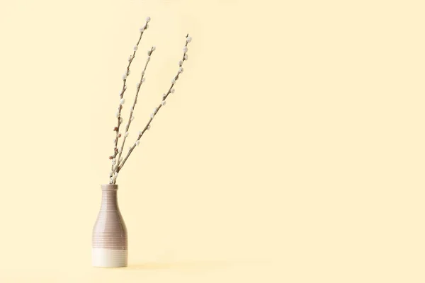 Vase Willow Branches Color Background — Stock Photo, Image