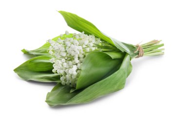 Beyaz arka planda vadideki güzel zambak çiçekleri