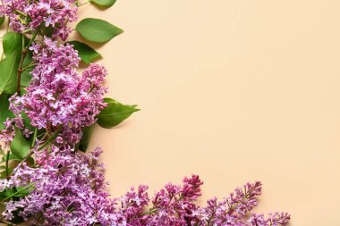 Renkli arkaplanda güzel leylak çiçekleri