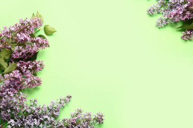 Renkli arkaplanda güzel leylak çiçekleri