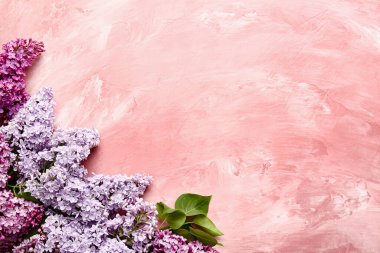 Renkli arkaplanda güzel leylak çiçekleri