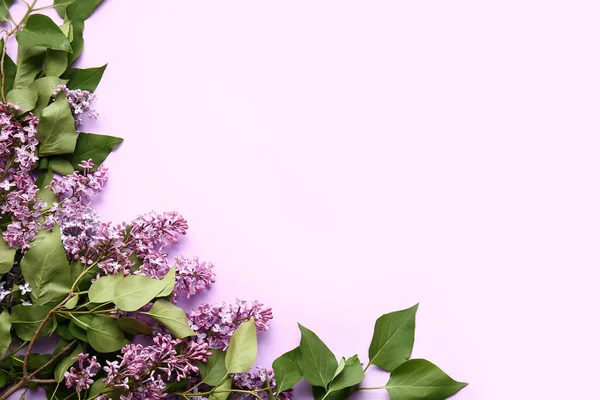 Beautiful Lilac Flowers Color Background — Stock Photo, Image