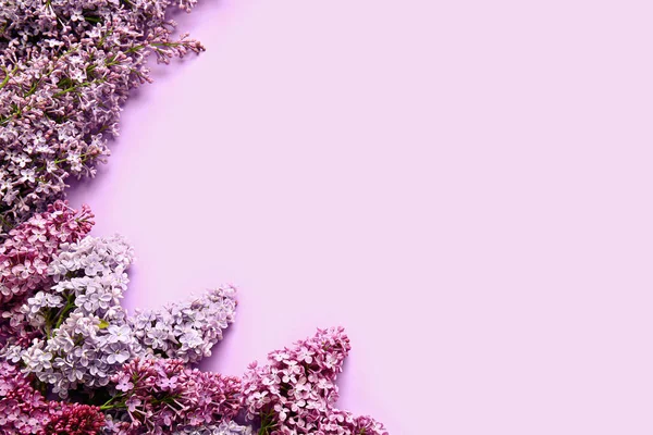 천연색 배경의 아름다운 라일락 — 스톡 사진