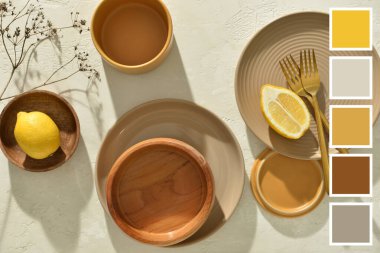 Stylish tableware on white background. Different color patterns