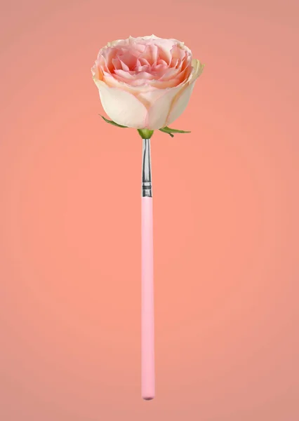 Makeup Brush Rose Flower Color Background — Stock Photo, Image
