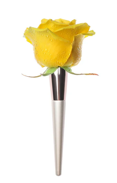 Makeup Brush Rose Flower White Background — Stock Photo, Image