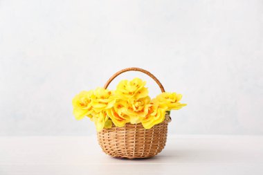 Basket with narcissus flowers on light background