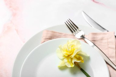 Beautiful table setting with narcissus flower on light background, closeup