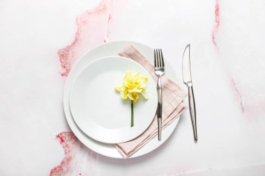 Renk arkaplanında narsisus çiçeği olan güzel masa ayarları