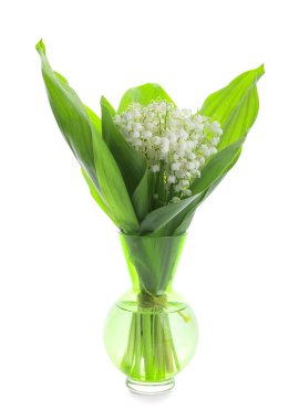 Beyaz arka planda vadideki güzel çiçekli vazo.