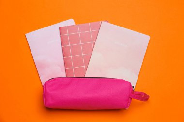 Pencil case with notebooks on color background