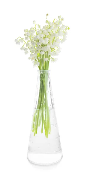 Vase Beautiful Lily Valley Flowers White Background — ストック写真