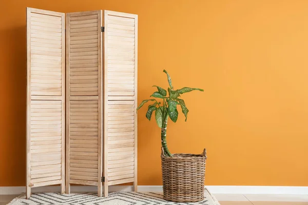 Wooden Folding Screen Houseplant Color Wall — Stock Photo, Image