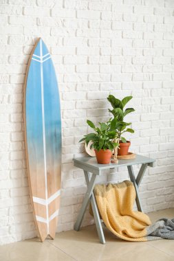 Sörf tahtası. Odanın içindeki masada bitkiler var.