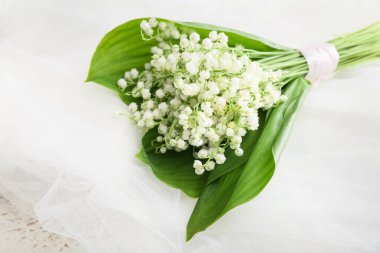 Işıklı arka planda güzel vadi zambağı çiçekleri