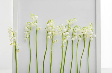 Vadideki güzel çiçekli fotoğraf çerçevesi açık arkaplanda.