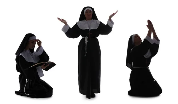 Group Nuns White Background — Stock Photo, Image