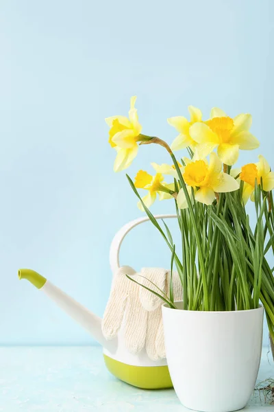 Ferramentas Jardinagem Com Narciso Planta Sobre Fundo Cor — Fotografia de Stock