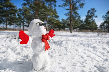 Parkta güneş gözlüklü komik kardan adam.