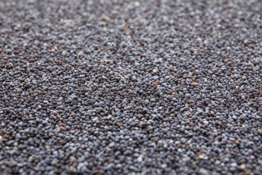 Arkaplan olarak haşhaş tohumlarının dokusu