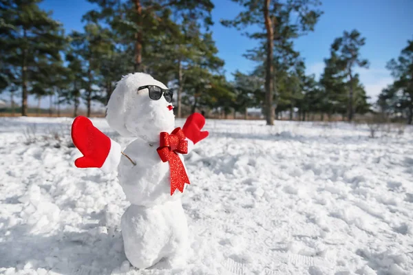 Funny Snowman Sunglasses Park — Stock Photo, Image