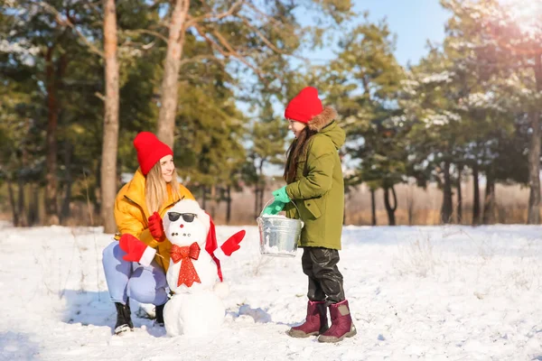 Happy Family Making Snowman Park — Stock Photo, Image