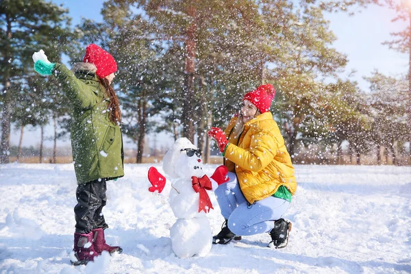 Happy Family Playing Snowballs Park — Stock Photo, Image