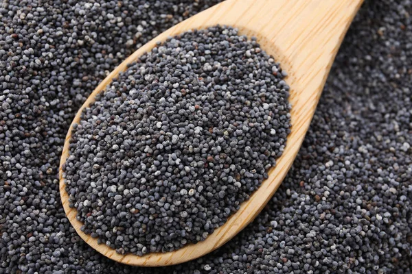 Spoon Poppy Seeds Closeup — Stock Photo, Image