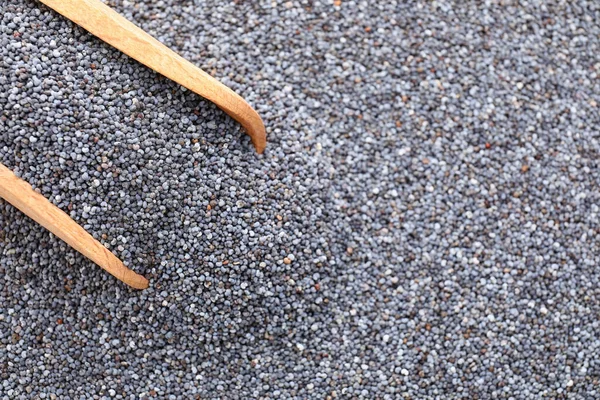 Scoop Poppy Seeds Closeup — Stock Photo, Image