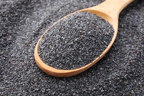 Spoon Poppy Seeds Closeup — Stock Photo, Image